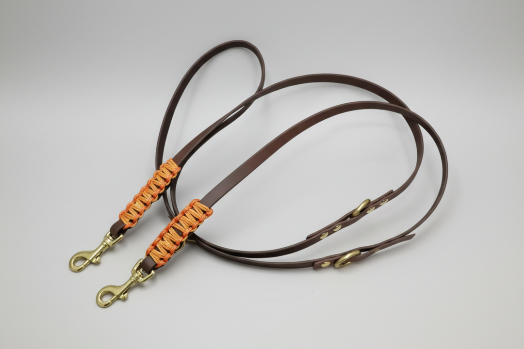 Biothane Leine Braun Beschlag Messing