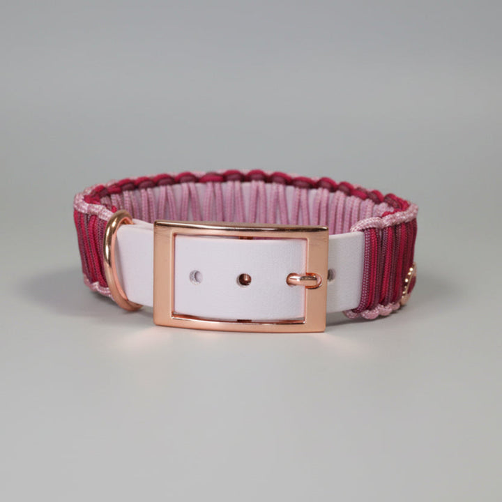 Hundehalsband Biothane Paracord Rosa Schnalle Rosegold