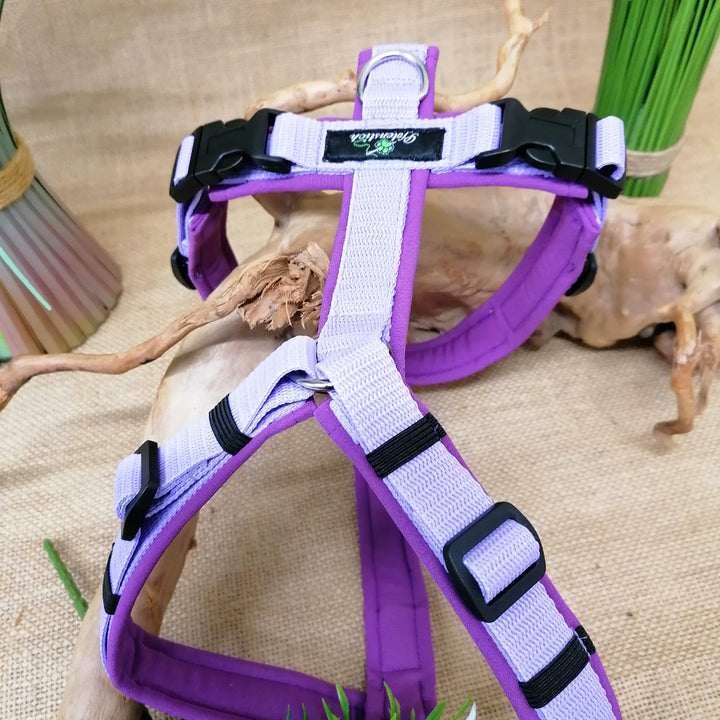 Führgeschirr handgemacht auf maß gurtband pfotenstich Softshell