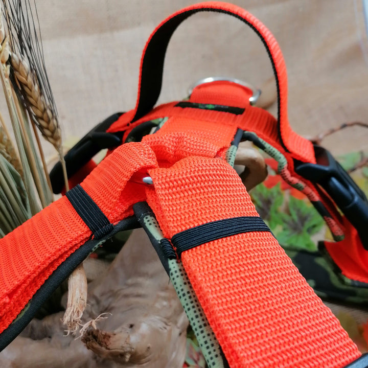 Führgeschirr handgemacht auf maß gurtband pfotenstich mit Griff