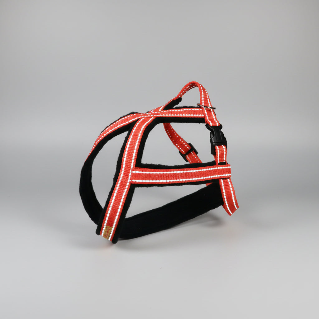 Führgeschirr dreibeinige Hunde Bellissimo auf Maß handgemacht individuell