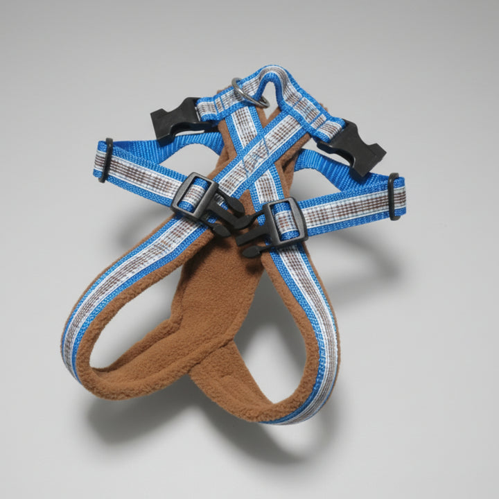 Führgeschirr auf Maß handgemacht bauchgurt gefütter indivuduell Bellissimo 2 schnallen bau bauchgurt verstellbar 