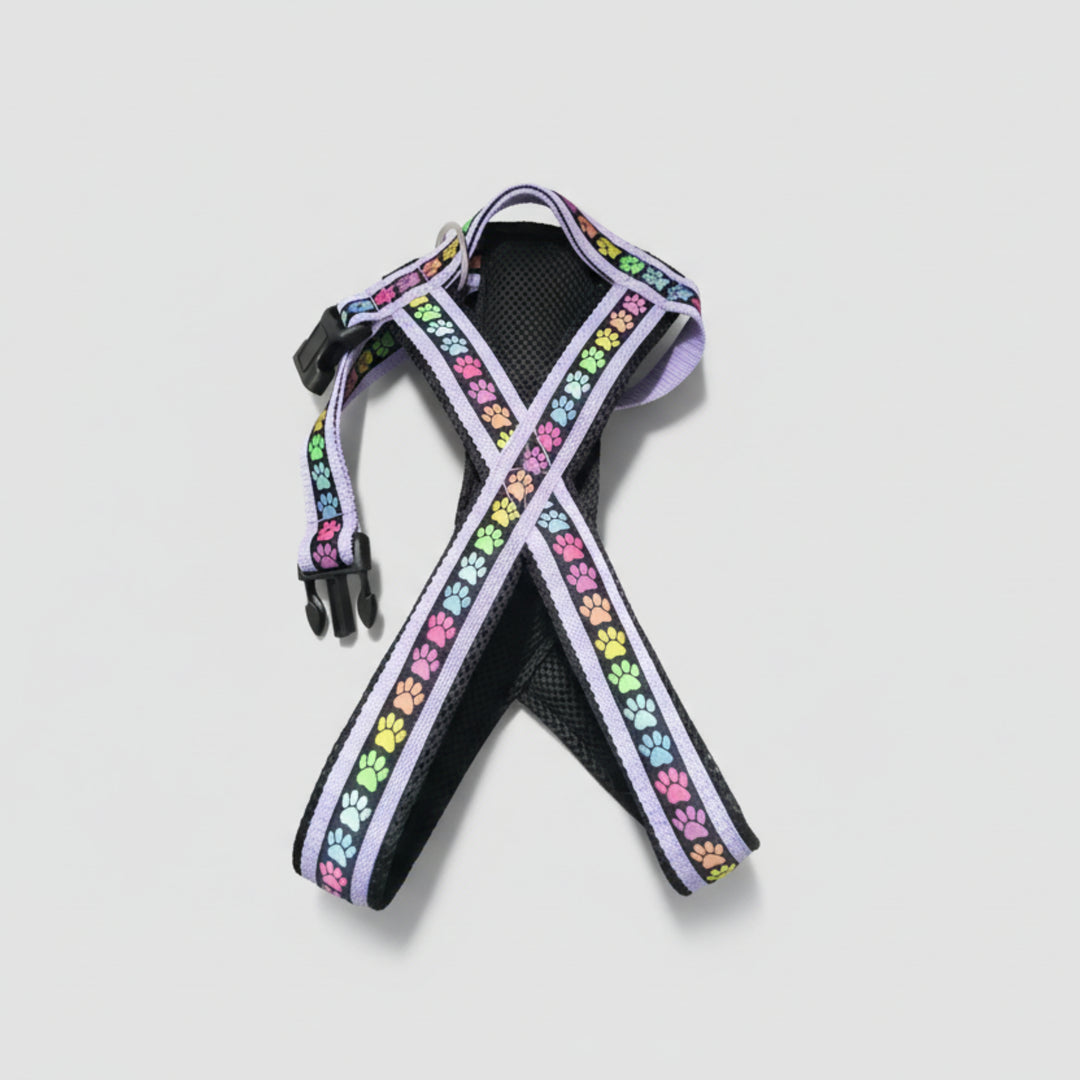 Führgeschirr auf Maß handgemacht  indivuduell Bellissimo