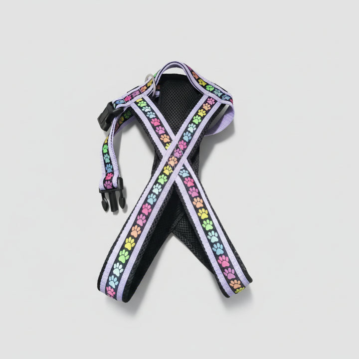 Führgeschirr auf Maß handgemacht  indivuduell Bellissimo