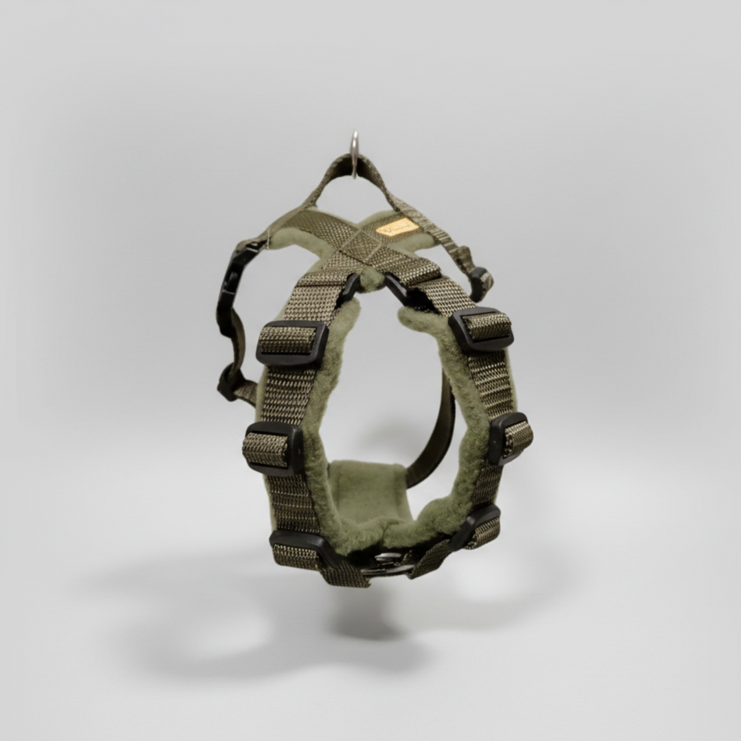 Welpengeschirr mitwachsend handgemacht auf maß oliv 