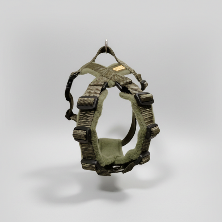 Welpengeschirr mitwachsend handgemacht auf maß oliv 