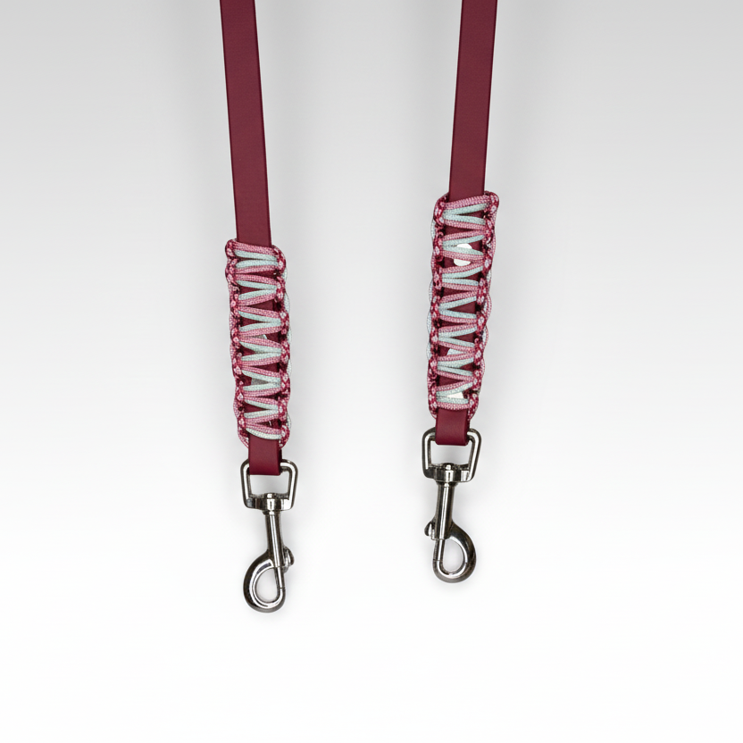 Bordeaux Biothane Paracord silber premium