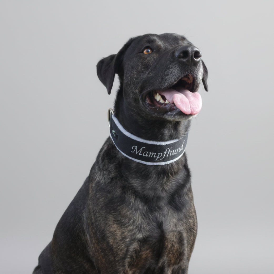 Halsband verstellbar auf maß bestickt individuell handgemacht